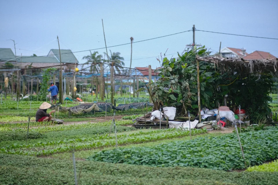 Hình ảnh tại Bùi Quốc Dũng 5